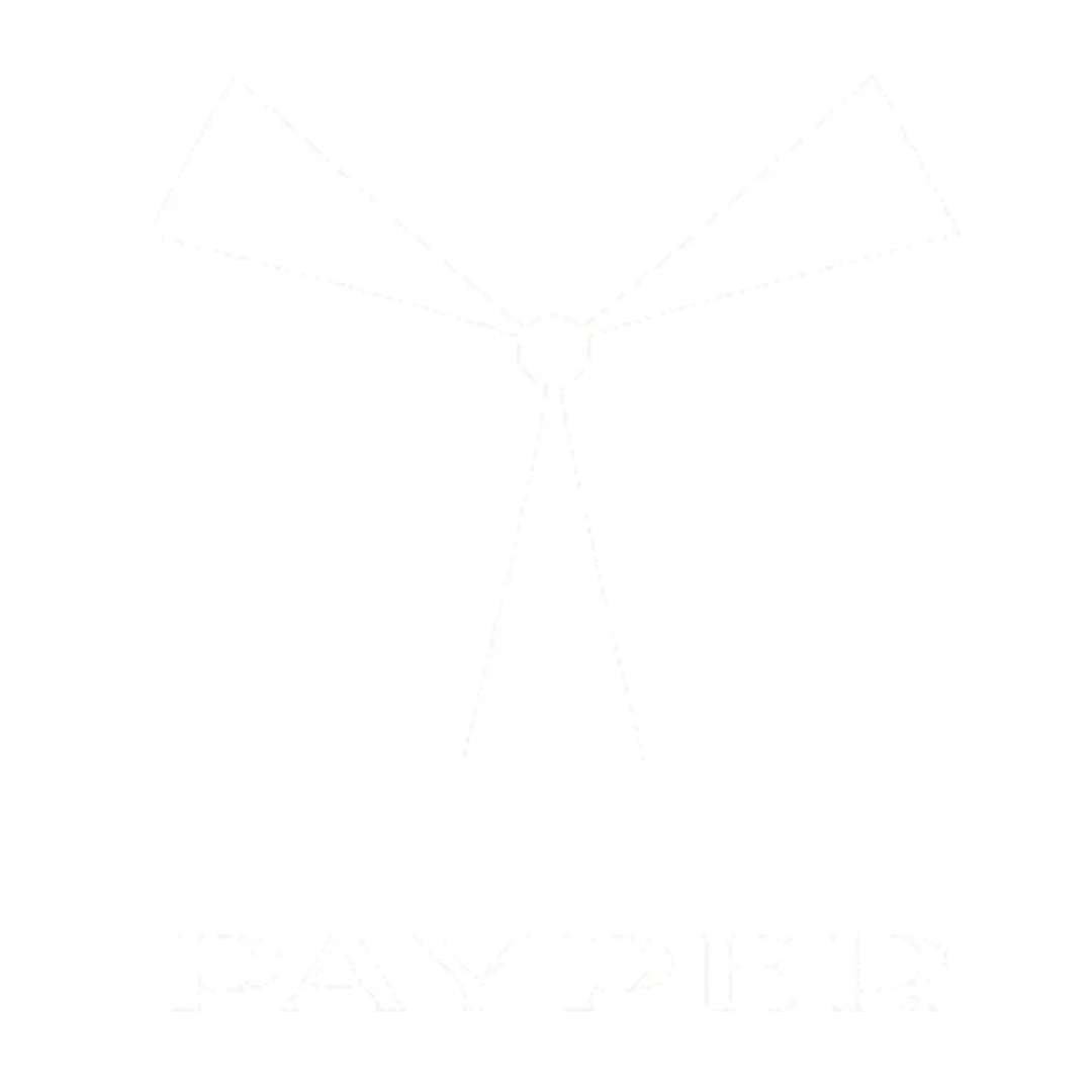 payper logo