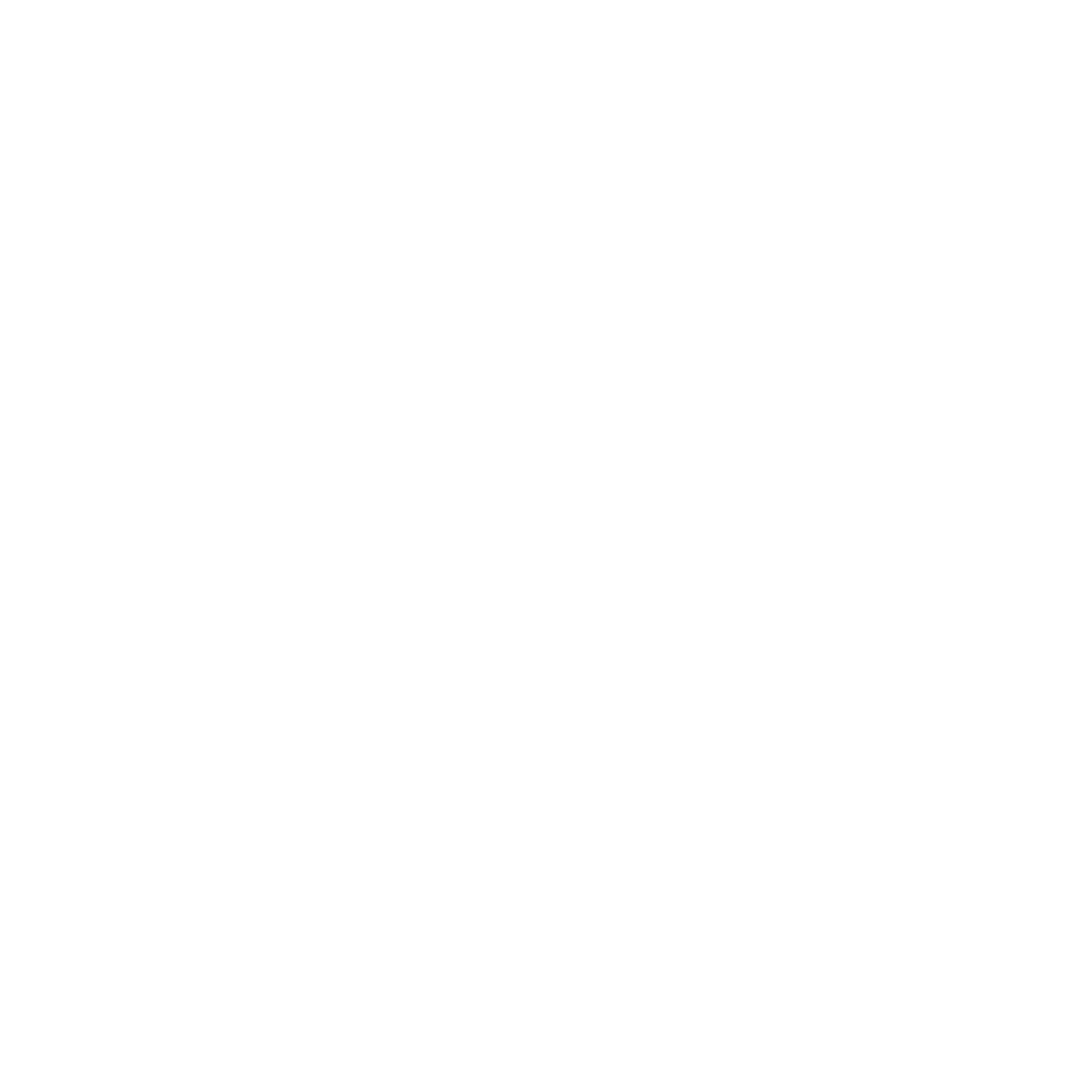 solo logo